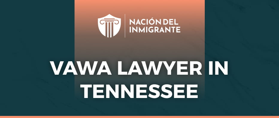 VAWA lawyer in tennessee