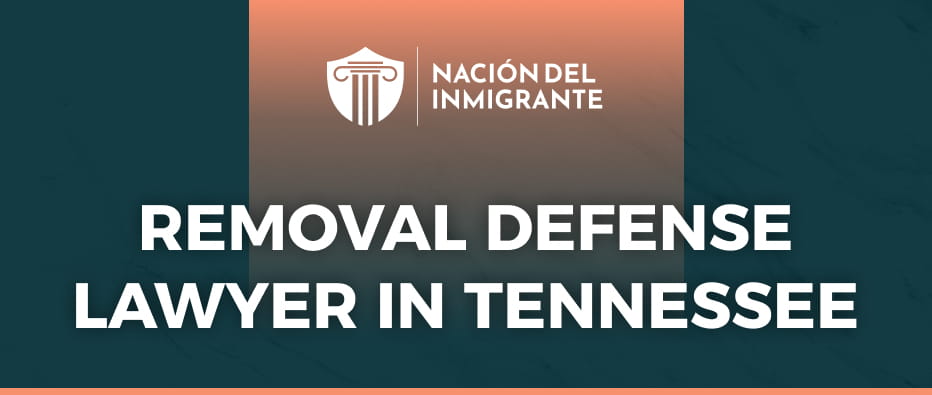 removal defense lawyer in tennessee