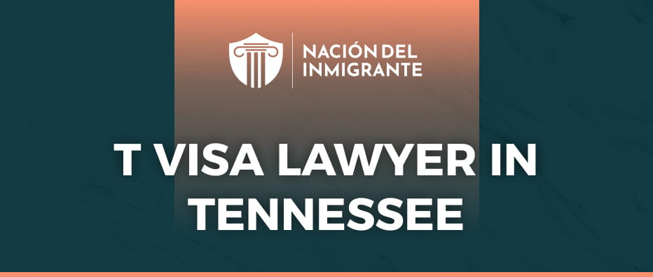 t visa lawyer in tennessee