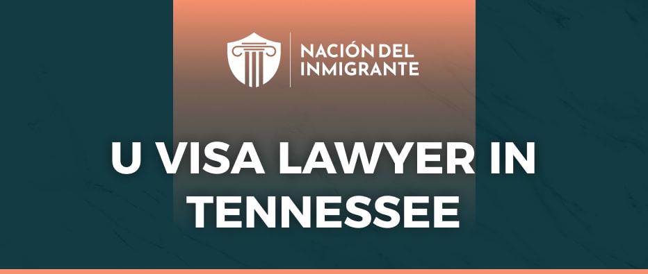 u visa lawyer in tennessee